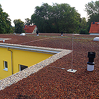Strahlenschutz, Blei - Lothar Schneider